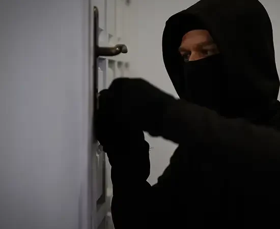 ladro svaligia appartamento ladro svaligia appartamento